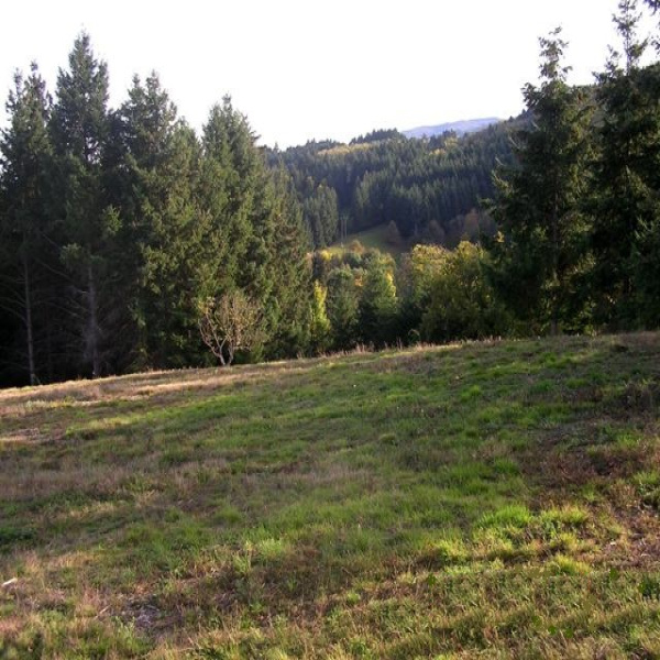 Offres de vente Terrain Renaison 42370