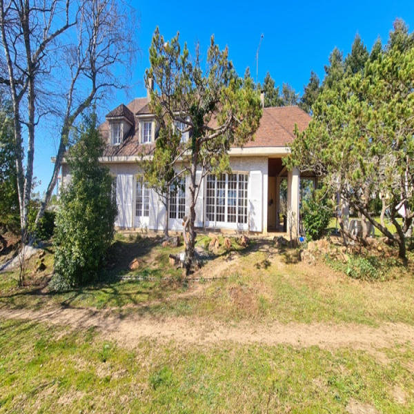 Offres de vente Maison Saint-Vincent-de-Boisset 42120